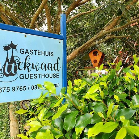 Kattekwaad Accommodation Kaapsehoop Ngoại thất bức ảnh